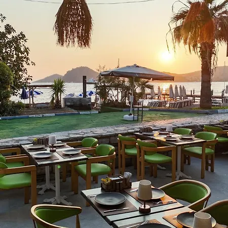 Lizbonia * ボドルム