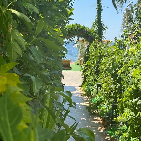 Lizbonia ホテル ボドルム