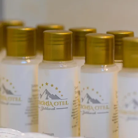 ホテル Lizbonia *