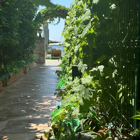 Lizbonia * ボドルム